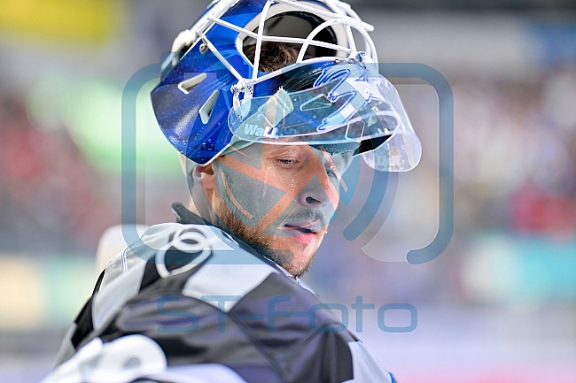 Eishockey, Herren, DEL, Saison 2024-2025, Playoffs Halbfinale, Spiel 1, ERC Ingolstadt - Kölner Haie, 02.04.2025