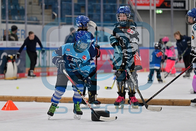 Eishockey, Herren, DEL, Saison 2024-2025, ERC Ingolstadt - Kids On Ice Day, 11.01.2025