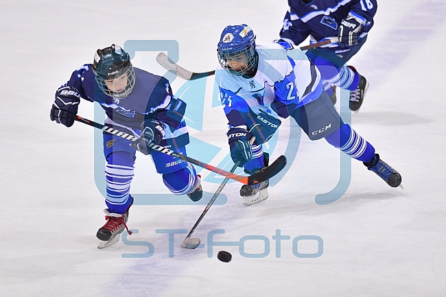 ERC Ingolstadt vs Iserlohn Roosters, DEL, Deutsche Eishockey Liga, Spieltag 39, 13.01.2019