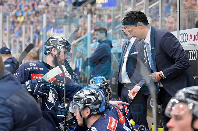 Eishockey, Herren, DEL, Saison 2024-2025, Playoffs Halbfinale, Spiel 5, ERC Ingolstadt - Kölner Haie, 11.04.2025