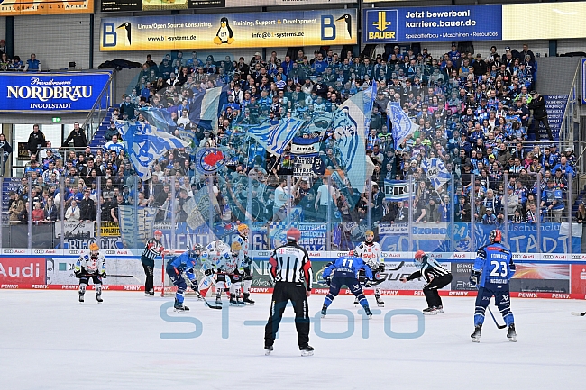 Eishockey, Herren, DEL, Saison 2023-2024, Playoffs Viertelfinale - Spiel 4, ERC Ingolstadt - Fischtown Pinguins , 24.03.2024