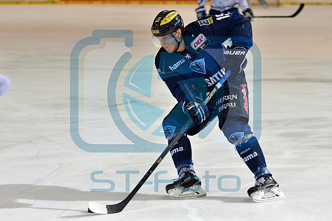 ERC Ingolstadt vs Hamburg Freezers, Eishockey, DEL, Deutsche Eishockey Liga, 10.01.2016