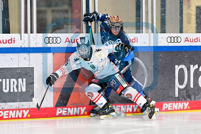 Eishockey, Frauen, DFEL, Saison 2024-2025, ERC Ingolstadt - ECDC Memmingen Indians, 16.11.2024