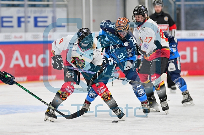 Eishockey, Frauen, DFEL, Saison 2024-2025, ERC Ingolstadt - EC Bergkamener Bären, 04.01.2025