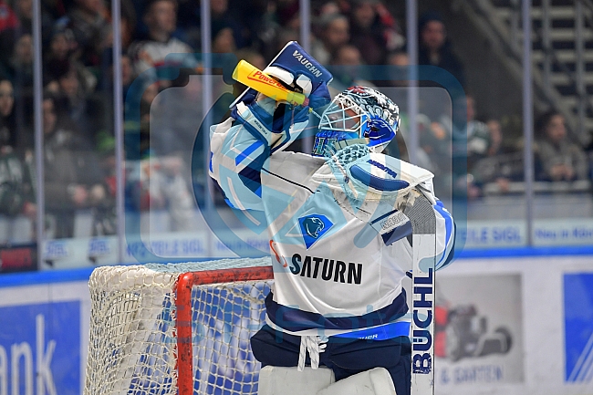 Augsburger Panther vs ERC Ingolstadt, Eishockey, DEL, Deutsche Eishockey Liga, Spieltag 42, 25.01.2019