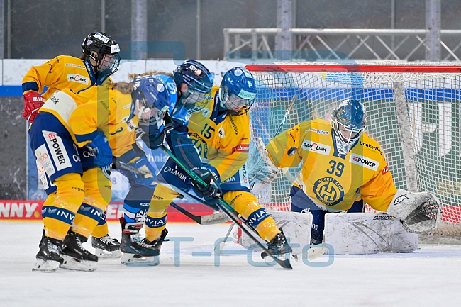 Eishockey, Frauen, DFEL, Saison 2025-2026, Testspiel, ERC Ingolstadt - HC Davos, 14.02.2026