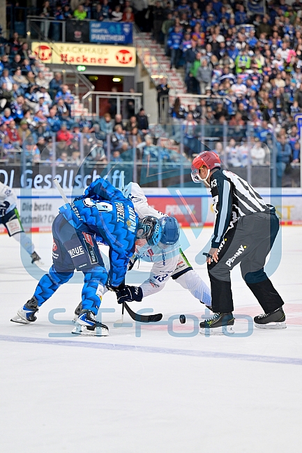 Eishockey, Herren, DEL, Saison 2025-2026, Spiel 7, ERC Ingolstadt - Straubing Tigers, 03.10.2025