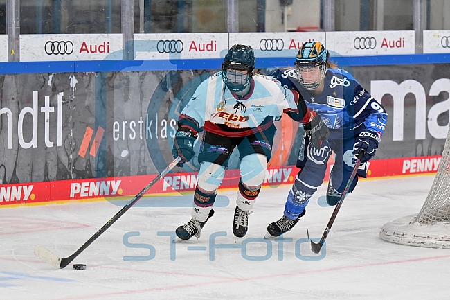 Eishockey, Frauen, DFEL, Saison 2023-2024, ERC Ingolstadt - EC Bergkamener Bären, 28.10.2023