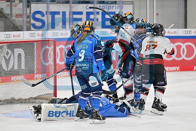 Eishockey, Frauen, DFEL, Saison 2023-2024, ERC Ingolstadt - EC Bergkamener Bären, 28.10.2023