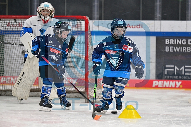 Eishockey, Herren, DEL, Saison 2024-2025, ERC Ingolstadt - Kids On Ice Day, 11.01.2025