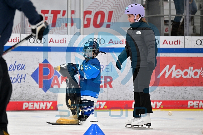 Eishockey, Herren, DEL, Saison 2024-2025, ERC Ingolstadt - Kids On Ice Day, 11.01.2025