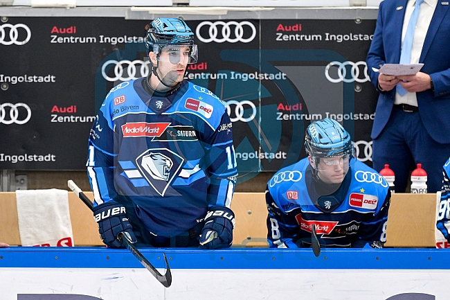 Eishockey, Herren, DEL, Saison 2025-2026, Spiel 40, ERC Ingolstadt - Straubing Tigers, 16.01.2026