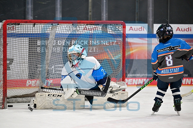 Eishockey, Herren, DEL, Saison 2024-2025, ERC Ingolstadt - Kids On Ice Day, 11.01.2025