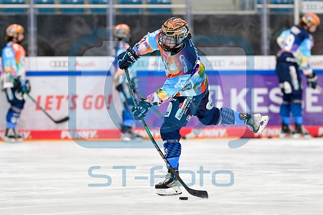Eishockey, Frauen, DFEL, Saison 2024-2025, ERC Ingolstadt - ECDC Memmingen Indians, 16.11.2024