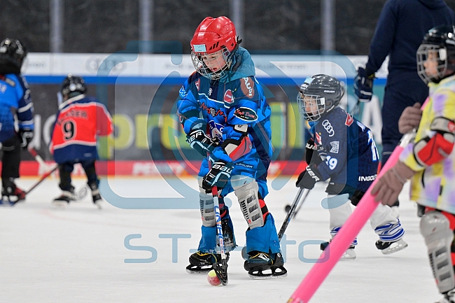Eishockey, Saison 2025-2026, ERC Ingolstadt - Kids On Ice Day, 10.01.2026