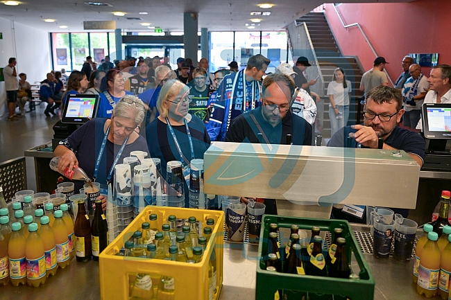 Eishockey, Herren, DEL, Saison 2024-2025, Vorbereitung, ERC Ingolstadt - Dresdner Eislöwen, 18.08.2024