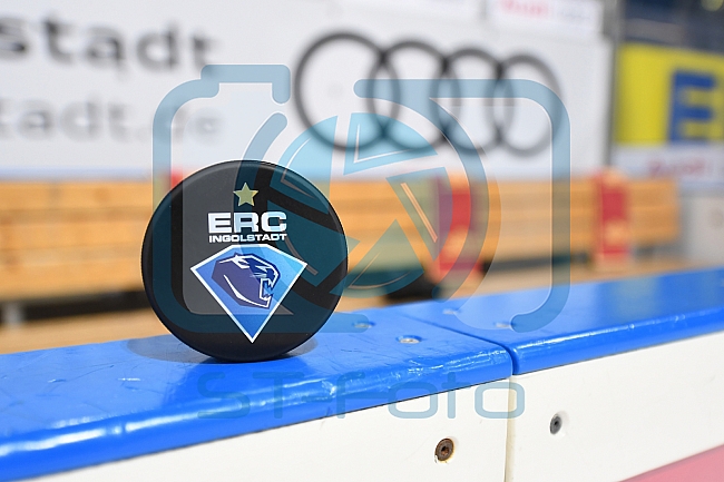 ERC Ingolstadt vs Adler Mannheim, Eishockey, DEL, Deutsche Eishockey Liga, Spieltag 46, 10.02.2017