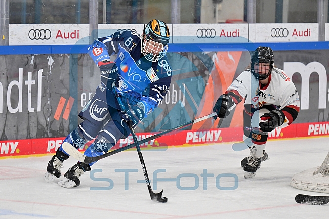 Eishockey, Frauen, DFEL, Saison 2023-2024, ERC Ingolstadt - EC Bergkamener Bären, 28.10.2023