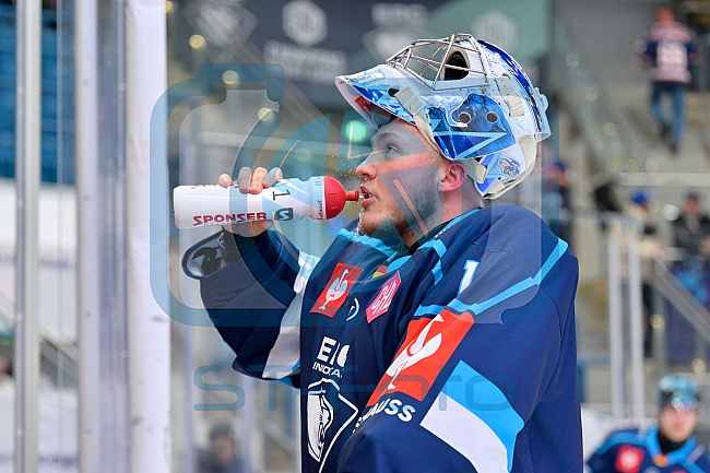 Hockey, Mens, CHL, Season 2025-2026, Regular Season, Round of 16, ERC Ingolstadt - EC Red Bull Salzburg, 12.11.2025