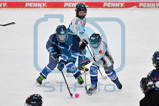 Eishockey, Herren, DEL, Saison 2024-2025, ERC Ingolstadt - Kids On Ice Day, 11.01.2025