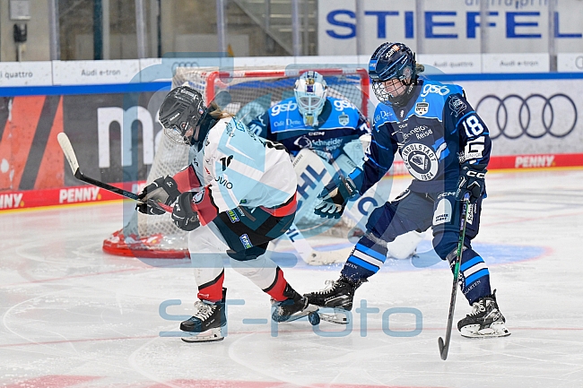 Eishockey, Frauen, DFEL, Saison 2025-2026, ERC Ingolstadt - HK Budapest, 15.11.2025