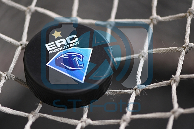 ERC Ingolstadt vs Adler Mannheim, Eishockey, DEL, Deutsche Eishockey Liga, Spieltag 46, 10.02.2017