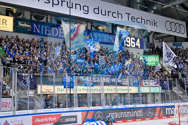 Eishockey, Herren, DEL, Saison 2025-2026, Spiel 7, ERC Ingolstadt - Straubing Tigers, 03.10.2025
