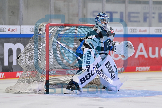 Eishockey, Herren, DEL, Saison 2024-2025, Vorbereitung, ERC Ingolstadt - Dresdner Eislöwen, 18.08.2024
