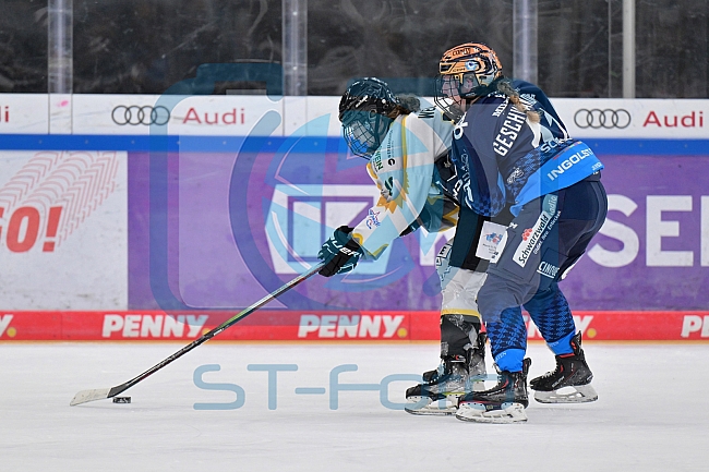 Eishockey, Frauen, DFEL, Saison 2024-2025, ERC Ingolstadt - Mad Dogs Mannheim, 23.11.2024