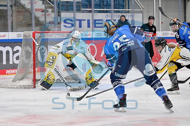 Eishockey, Frauen, DFEL, Saison 2023-2024, ERC Ingolstadt - Mad Dogs Mannheim, 18.02.2024