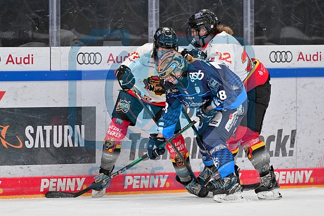 Eishockey, Frauen, DFEL, Saison 2024-2025, ERC Ingolstadt - EC Bergkamener Bären, 04.01.2025