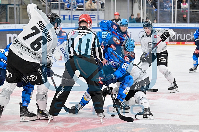 Eishockey, Herren, DEL, Saison 2025-2026, Spiel 16, ERC Ingolstadt - Kölner Haie, 31.10.2025