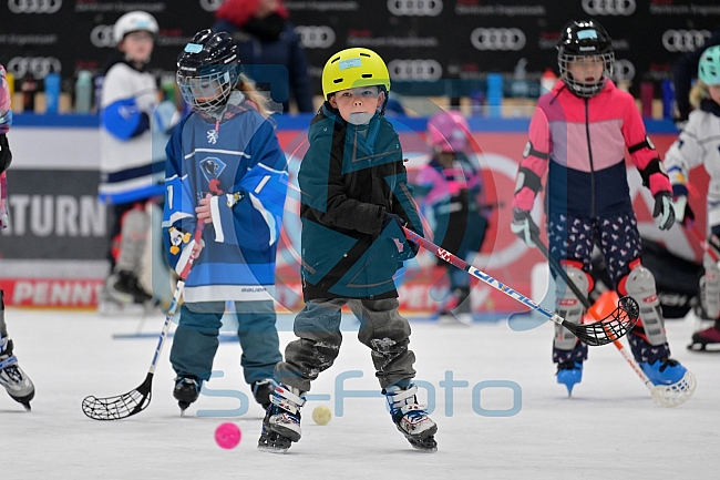 Eishockey, Herren, DEL, Saison 2024-2025, ERC Ingolstadt - Kids On Ice Day, 11.01.2025