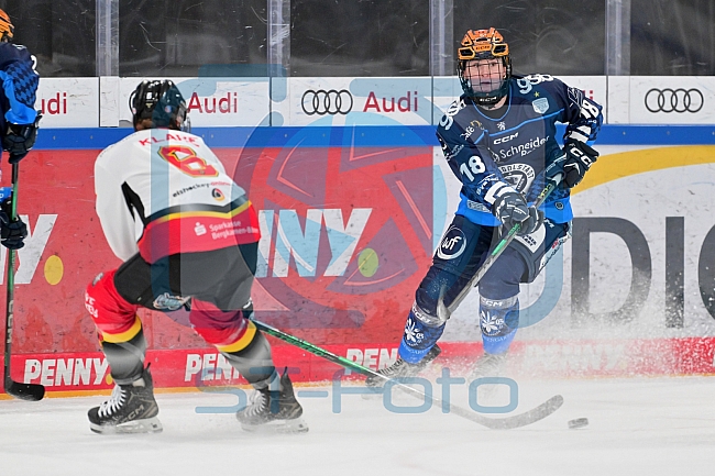 Eishockey, Frauen, DFEL, Saison 2024-2025, ERC Ingolstadt - EC Bergkamener Bären, 04.01.2025