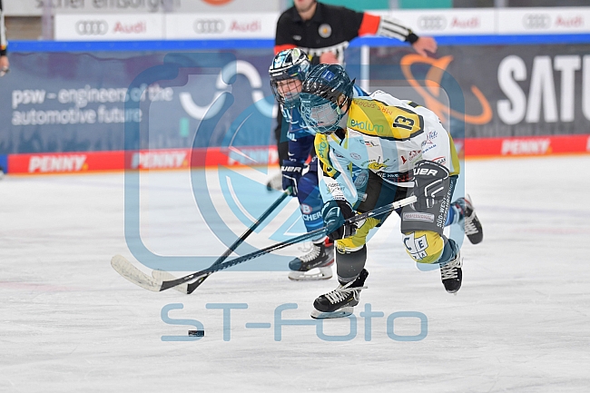 Eishockey, Frauen, DFEL, Saison 2021-2022, ERC Ingolstadt - Mad Dogs Mannheim, 23.10.2021