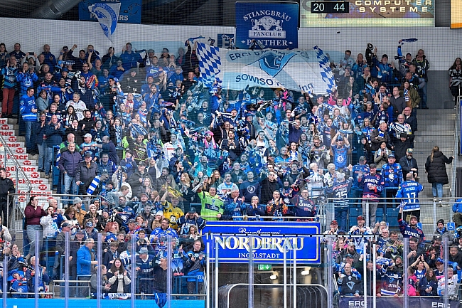 Eishockey, Herren, DEL, Saison 2025-2026, Spiel 16, ERC Ingolstadt - Kölner Haie, 31.10.2025