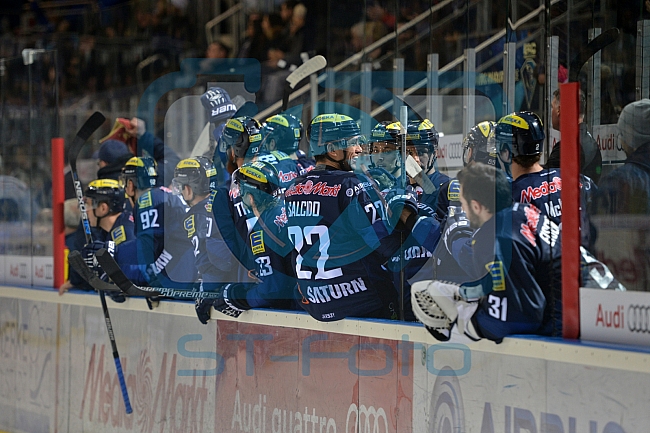 ERC Ingolstadt vs Hamburg Freezers, Eishockey, DEL, Deutsche Eishockey Liga, 10.01.2016