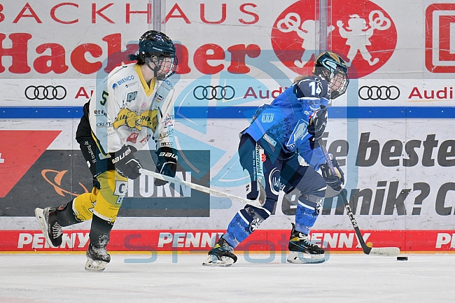 Eishockey, Frauen, DFEL, Saison 2023-2024, ERC Ingolstadt - Mad Dogs Mannheim, 18.02.2024