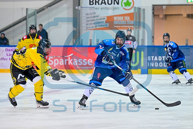 Eishockey, Herren, U20 DNL, Saison 2025-2026, Halbfinale - Spiel 2, ERC Ingolstadt - Krefelder EV 81, 15.03.2026