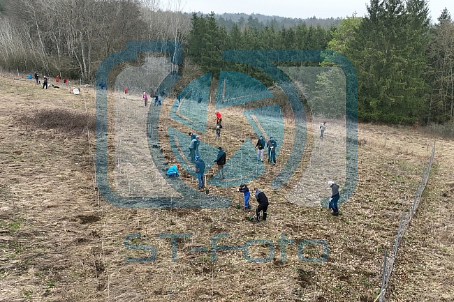 Eishockey, Herren, DEL, Saison 2023-2024, ERC Ingolstadt - Baumpflanzaktion, 03.03.2024