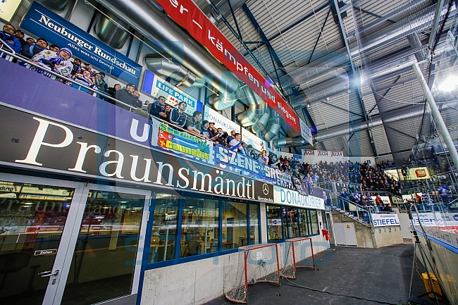 ERC Ingolstadt - Straubing Tigers, Eishockey, DEL, Deutsche Eishockey Liga, Spieltag 16, 24.01.2017