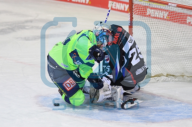 Eishockey, Herren, DEL, Saison 2020-2021, Straubing Tigers - ERC Ingolstadt, 31.01.2021