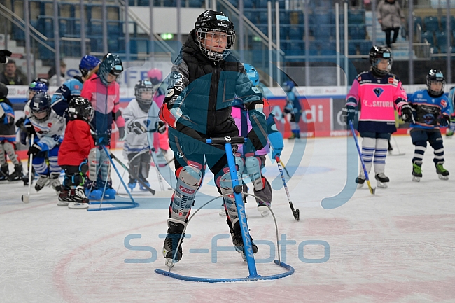 Eishockey, Herren, DEL, Saison 2024-2025, ERC Ingolstadt - Kids On Ice Day, 11.01.2025