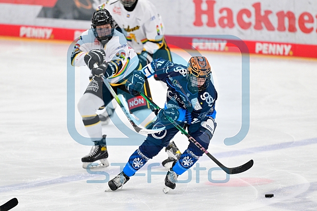 Eishockey, Frauen, DFEL, Vorbereitung, Saison 202-2025, ERC Ingolstadt - St. Pölten, 07.09.2024