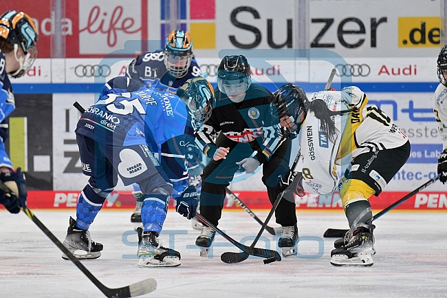 Eishockey, Frauen, DFEL, Saison 2023-2024, ERC Ingolstadt - Mad Dogs Mannheim, 18.02.2024