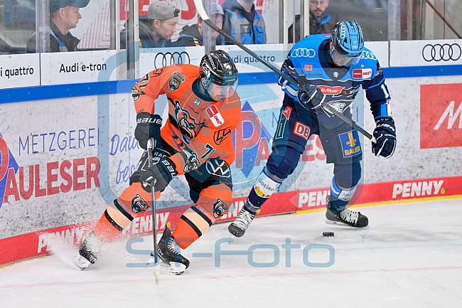 Eishockey, Herren, DEL, Saison 2025-2026, Spiel 33, ERC Ingolstadt - Grizzlys Wolfsburg, 28.12.2025