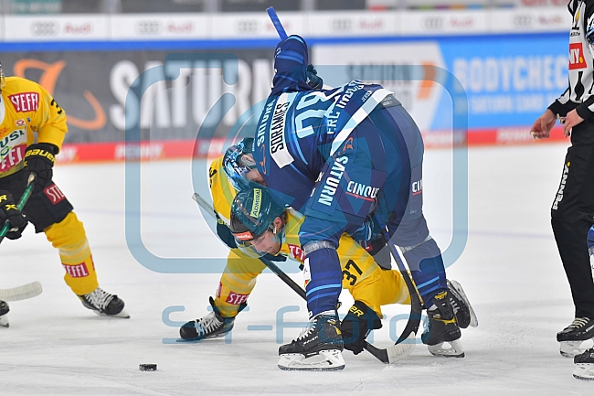 Vorbereitung, Eishockey, Herren, DEL, Saison 2021-2022, ERC Ingolstadt - spusu Vienna Capitals, 04.09.2021
