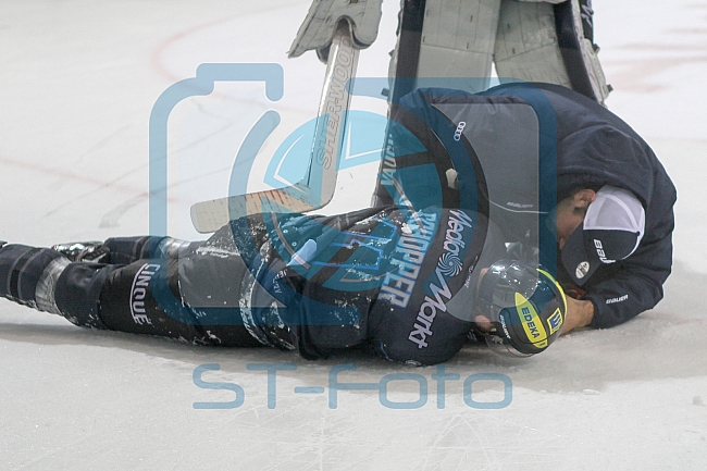 ERC Ingolstadt - Koelner Haie, Eishockey, DEL, Deutsche Eishockey Liga, Spieltag 16, 01.11.2015