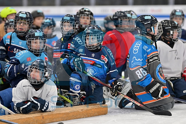 Eishockey, Herren, DEL, Saison 2024-2025, ERC Ingolstadt - Kids On Ice Day, 11.01.2025