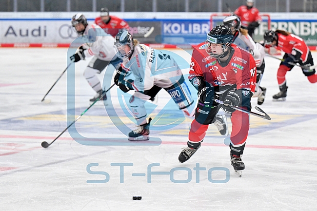 Eishockey, Frauen, EWHL Euro Cup, Saison 2025-2026, Finale, HK Budapest - ECDC Memmingen Indians, 19.10.2025